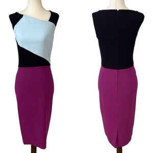 Raoul Color Block Midi Dress